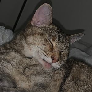 Meet your Posher, Sara